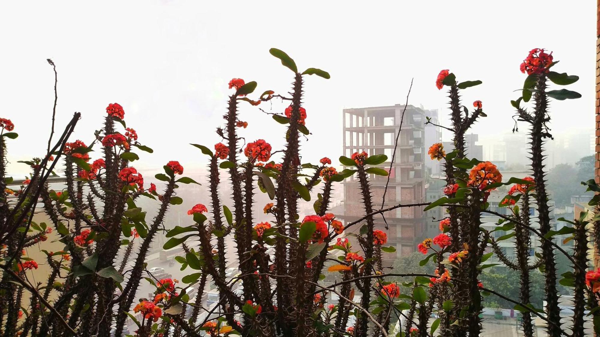 Hotel Afford Inn Dhaka Exterior photo